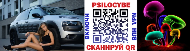 где купить   нарко площадка клад  Псилоцибиновые грибы Psilocybe  Курлово 